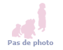 chaton Abyssin