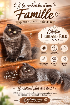 Highland Fold - Highland Fold LOOF - Des Charmes de Somme